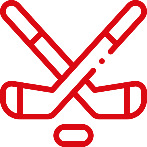 Hockey Sticks & Puck Icon