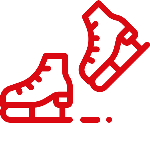 Skates Icon